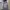 The North Face Gorpcore Windbreaker Pria gray photo 3