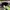 The North Face Gorpcore Windbreaker Pria gray photo 6