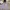 The North Face Gorpcore Windbreaker Pria gray photo 1
