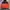 The North Face Gorpcore Puffer jacket Pria black photo 5