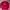 Nike Vintage Sweater Pria red photo 1
