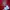 Adidas Sportswear Jersey Pria red photo 4
