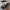 Converse Streetwear Skater Sneakers Pria white black photo 1