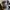 Converse Streetwear Skater Sneakers Pria white black photo 3