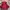 K2 Casual Blazer Pria red photo 3