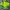 Vintage Streetwear Sweatshirt Pria green photo 6