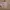Y2K Crop top Wanita white photo 4