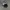 Chase Nascar Y2K Sportswear Hat Pria blue photo 4