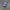 Chase Nascar Y2K Sportswear Hat Pria blue photo 1