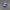 Chase Nascar Y2K Sportswear Hat Pria Blue