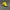 Chase Nascar Y2K Sportswear Hat Pria black yellow photo 3