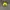 Chase Nascar Y2K Sportswear Hat Pria black yellow photo 4