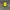 Chase Nascar Y2K Sportswear Hat Pria Black Yellow