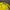 Chase Nascar Y2K Sportswear Hat Pria black yellow photo 6