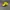Chase Nascar Y2K Sportswear Hat Pria black yellow photo 2