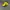 Chase Nascar Y2K Sportswear Hat Pria Black Yellow
