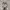 On Running Sportswear Sneakers Pria white photo 4
