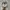 On Running Sportswear Sneakers Pria multicolor photo 5