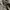 Vintage Y2K Skirt Wanita gray photo 2