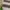 Japanese brand Lolita Minimalist Crop top Wanita white brown photo 3