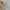 Japanese brand Luxury Futurist Blouse Wanita green photo 3