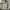 Osprey Gorpcore Bag Pria white photo 2