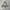 Osprey Gorpcore Bag Pria white photo 1