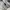 New Balance Casual Sneakers Pria white gray photo 2