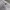 Carhartt Vintage Y2K Short Pria cream photo 4