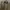 Y2K Casual Formal shirt Pria tan photo 2