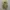 Y2K Casual Formal shirt Pria tan photo 1