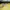 Fila Y2K Grunge Sweater Wanita yellow photo 4