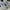 New Balance Casual Sneakers Pria White Blue