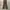 Japanese brand Streetwear Casual Casual pants Pria brown photo 1