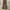 Japanese brand Streetwear Casual Casual pants Pria brown photo 4
