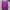 Vintage Muslim Blouse Wanita Purple