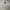 Fear of God ESSENTIALS Luxury Sweatshirt Pria gray photo 1