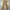 Patagonia Streetwear Reworked Wanita tan brown photo 8