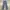 Streetwear Y2K High waisted jeans Wanita gray photo 7