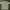 Levi's Casual Sweatshirt Pria Gray