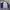 Mizuno Sportswear Windbreaker Pria blue photo 3