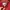 Pancoat Streetwear Luxury Sweatshirt Pria red photo 3
