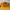 Streetwear Skater Hat Pria yellow photo 4