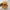 Streetwear Skater Hat Pria yellow photo 6