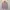 National Geographic Streetwear Luxury Sweatshirt Pria pink photo 1