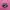 Puma Streetwear Casual Sneakers Wanita pink black photo 1