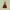 Minimal Luxury Prom Dress Wanita Burgundy