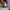 VANS Streetwear Indie Casual shoe Pria tan navy photo 8