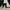 G2000 Avant Garde Blazer Wanita white navy photo 6