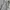 Beanpole Streetwear Casual Track jacket Pria gray photo 2